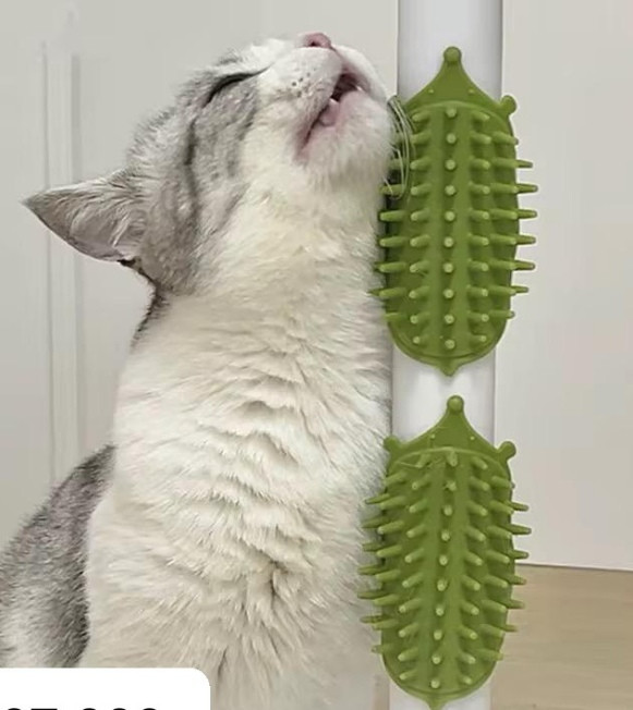 پخش عمده برس دیواری گربه وارداتی توسط پت پخش بانه عبدالهی