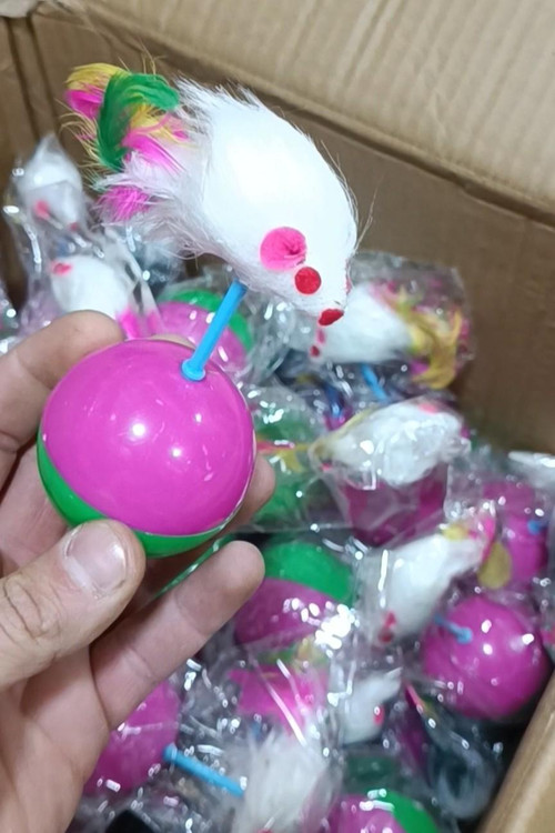 اسباب بازی عروسک موش تعادلی گربه با بدنه پلاستیکی دو رنگ و دم پردار، تامین شده توسط واردکننده مستقیم در بانه پت پخش بانه عبدالهی برای ویترین فروشگاههای پت.